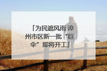 为民遮风雨 漳州市区新一批“巨伞”即将开工