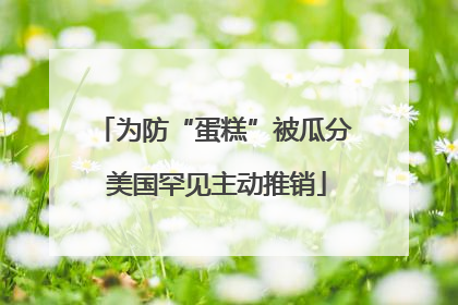 为防“蛋糕”被瓜分 美国罕见主动推销