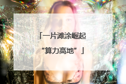 一片滩涂崛起“算力高地”