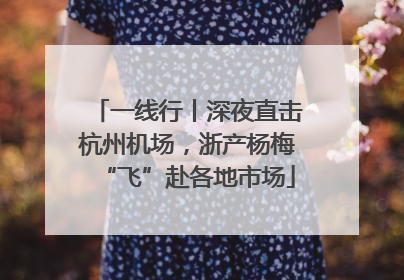 一线行丨深夜直击杭州机场，浙产杨梅“飞”赴各地市场