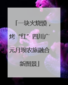 一块火烧馍，烤“红”四川广元月坝农旅融合新图景