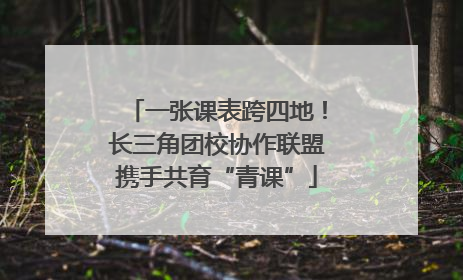 一张课表跨四地！长三角团校协作联盟携手共育“青课”