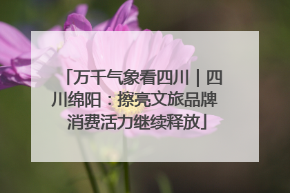 万千气象看四川｜四川绵阳：擦亮文旅品牌 消费活力继续释放