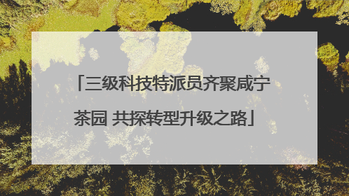 三级科技特派员齐聚咸宁茶园 共探转型升级之路