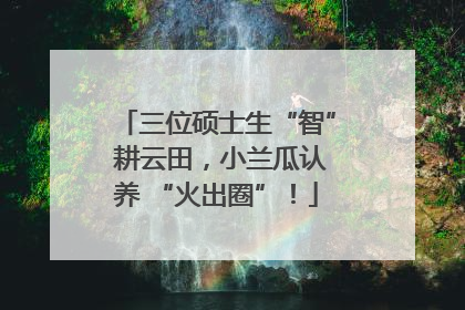 三位硕士生“智” 耕云田，小兰瓜认养 “火出圈”！