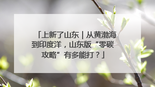 上新了山东｜从黄渤海到印度洋，山东版“零碳攻略”有多能打？