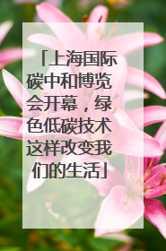 上海国际碳中和博览会开幕，绿色低碳技术这样改变我们的生活