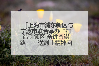 上海市浦东新区与宁波市联合举办“打造引领区 奋进尊崇路——送烈士精神回家乡”主题活动