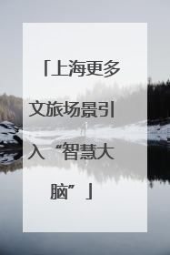 上海更多文旅场景引入“智慧大脑”