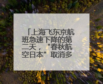 上海飞东京航班急速下降的第二天，“春秋航空日本”取消多趟航班