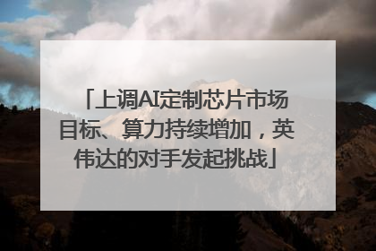 上调AI定制芯片市场目标、算力持续增加，英伟达的对手发起挑战