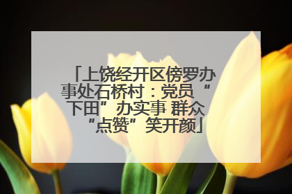 上饶经开区傍罗办事处石桥村：党员“下田”办实事 群众“点赞”笑开颜
