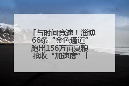与时间竞速！淄博66条“金色通道”跑出156万亩夏粮抢收“加速度”