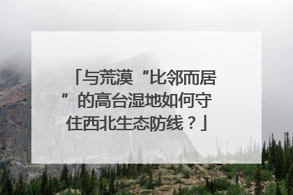 与荒漠“比邻而居”的高台湿地如何守住西北生态防线？