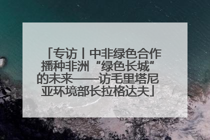 专访丨中非绿色合作播种非洲“绿色长城”的未来——访毛里塔尼亚环境部长拉格达夫