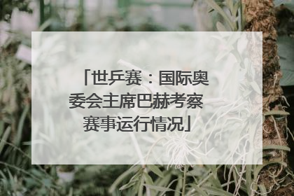 世乒赛：国际奥委会主席巴赫考察赛事运行情况