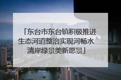 东台市东台镇积极推进生态河道整治实现河畅水清岸绿景美新愿景