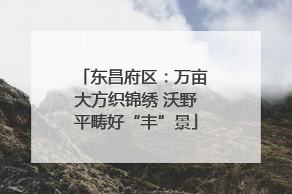 东昌府区：万亩大方织锦绣 沃野平畴好“丰”景