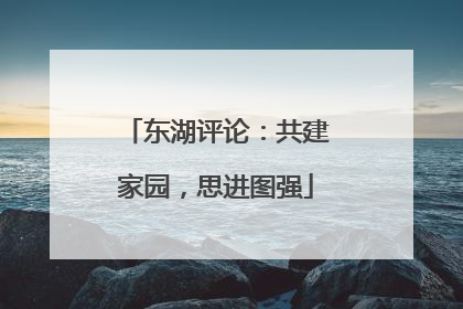 东湖评论：共建家园，思进图强