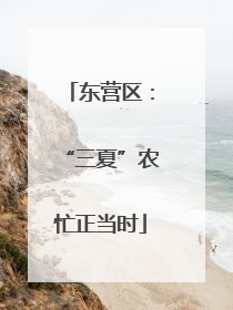 东营区：“三夏”农忙正当时