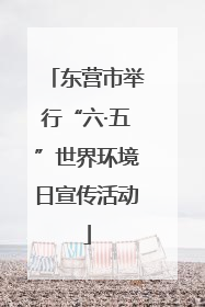 东营市举行“六·五”世界环境日宣传活动