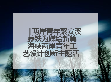 两岸青年聚安溪 藤铁为媒绘新篇 海峡两岸青年工艺设计创新主题活动开幕