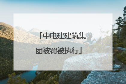 中电建建筑集团被罚被执行