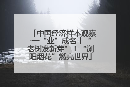中国经济样本观察·一“业”成名丨“老树发新芽”！“浏阳烟花”燃亮世界