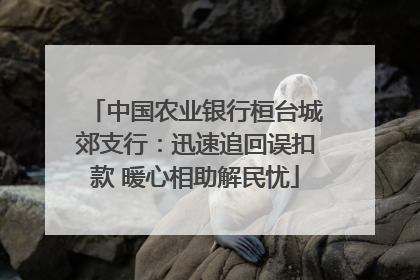 中国农业银行桓台城郊支行：迅速追回误扣款 暖心相助解民忧