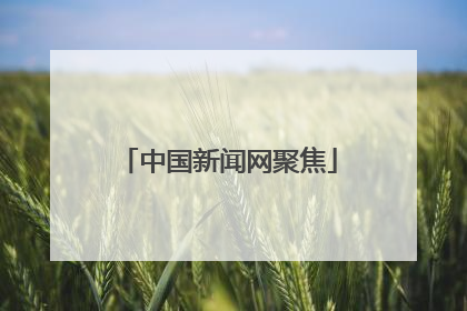 中国新闻网聚焦