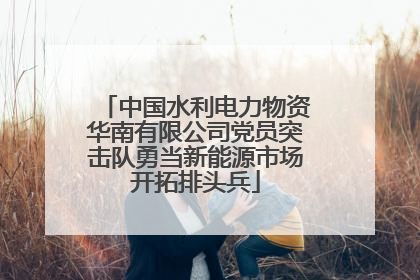 中国水利电力物资华南有限公司党员突击队勇当新能源市场开拓排头兵