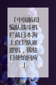 中国航母编队战斗机拦截日本海上自卫队巡逻机，我驻日使馆回应