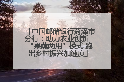 中国邮储银行菏泽市分行：助力农业创新 “果蔬两用”模式 跑出乡村振兴加速度