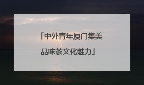 中外青年厦门集美品味茶文化魅力