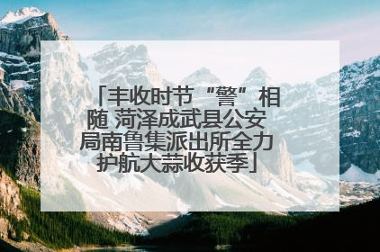 丰收时节“警”相随 菏泽成武县公安局南鲁集派出所全力护航大蒜收获季