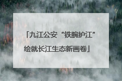 九江公安“铁腕护江”绘就长江生态新画卷