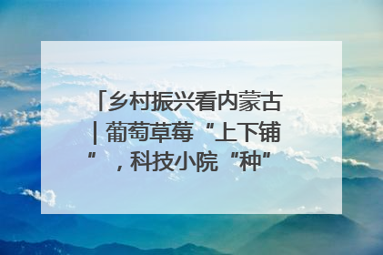 乡村振兴看内蒙古｜葡萄草莓“上下铺”，科技小院“种”出三倍效益