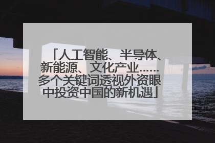 人工智能、半导体、新能源、文化产业……多个关键词透视外资眼中投资中国的新机遇