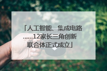 人工智能、集成电路……12家长三角创新联合体正式成立