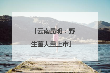 云南昆明：野生菌大量上市