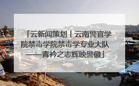 云新闻策划丨云南警官学院禁毒学院禁毒学专业大队——青衿之志辉映警徽