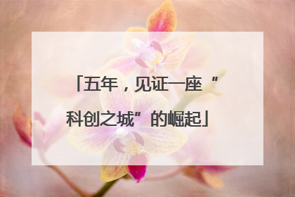 五年，见证一座“科创之城”的崛起