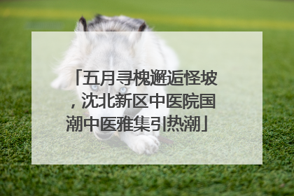 五月寻槐邂逅怪坡，沈北新区中医院国潮中医雅集引热潮