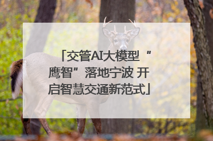 交管AI大模型“鹰智”落地宁波 开启智慧交通新范式
