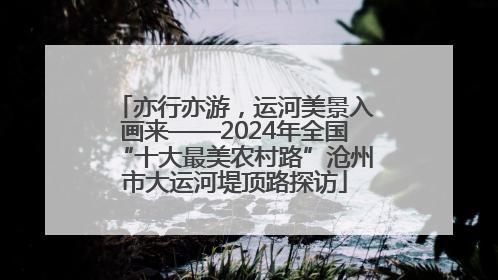 亦行亦游，运河美景入画来——2024年全国“十大最美农村路”沧州市大运河堤顶路探访