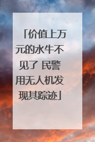 价值上万元的水牛不见了 民警用无人机发现其踪迹