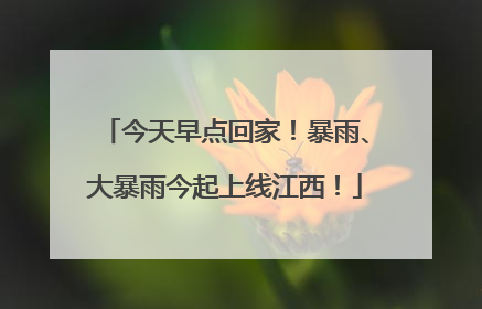 今天早点回家！暴雨、大暴雨今起上线江西！