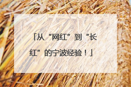 从“网红”到“长红”的宁波经验！