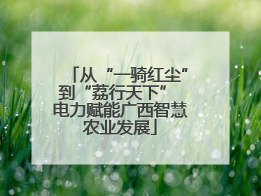 从“一骑红尘”到“荔行天下” 电力赋能广西智慧农业发展