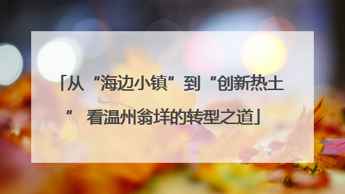 从“海边小镇”到“创新热土” 看温州翁垟的转型之道
